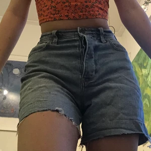 Hollister shorts  - Ett mat highrise hollistershorts, jag har ungefär 67 cm i midjemått och dessa sitter en aning tight just i midjan. Dm för frågor!