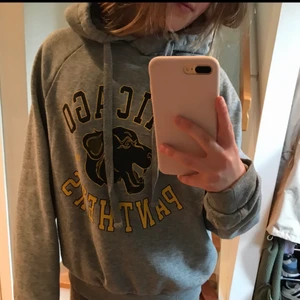 Grå huddie från Gina tricot  - Grå huddie med nåt märke.allt är i perfekt skick har använt den 2-3 ggr.😃