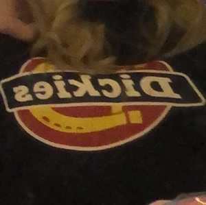 Dickies sweatshirt  - Storlek S men är lite större. Jätte bra skick, ingen fläck alls. Säljer för 200 +45 i frakt 