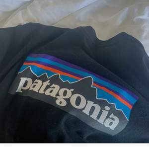 Säljer min platagonia tröja long sleeve som jag nu inte fått användning för på ett tag😊 Väldigt bra skick, i storlek xs💖 OBS, första bilden är på ryggen💓