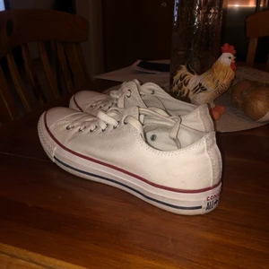 ÄKTA Converse  - Ja dom e äkta så fråga snälla inte! Storlek 41 men passar min tjej som har 38/39. Använda 1 gång på en skolavslutning för 3år sen.