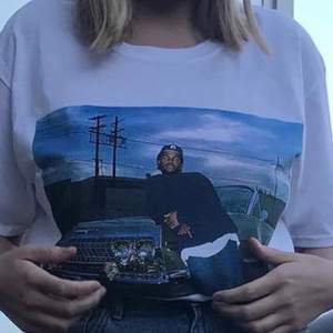 Ice Cube T-shirt köpt från ASOS tror jag. Storlek M, köparen står för frakt 