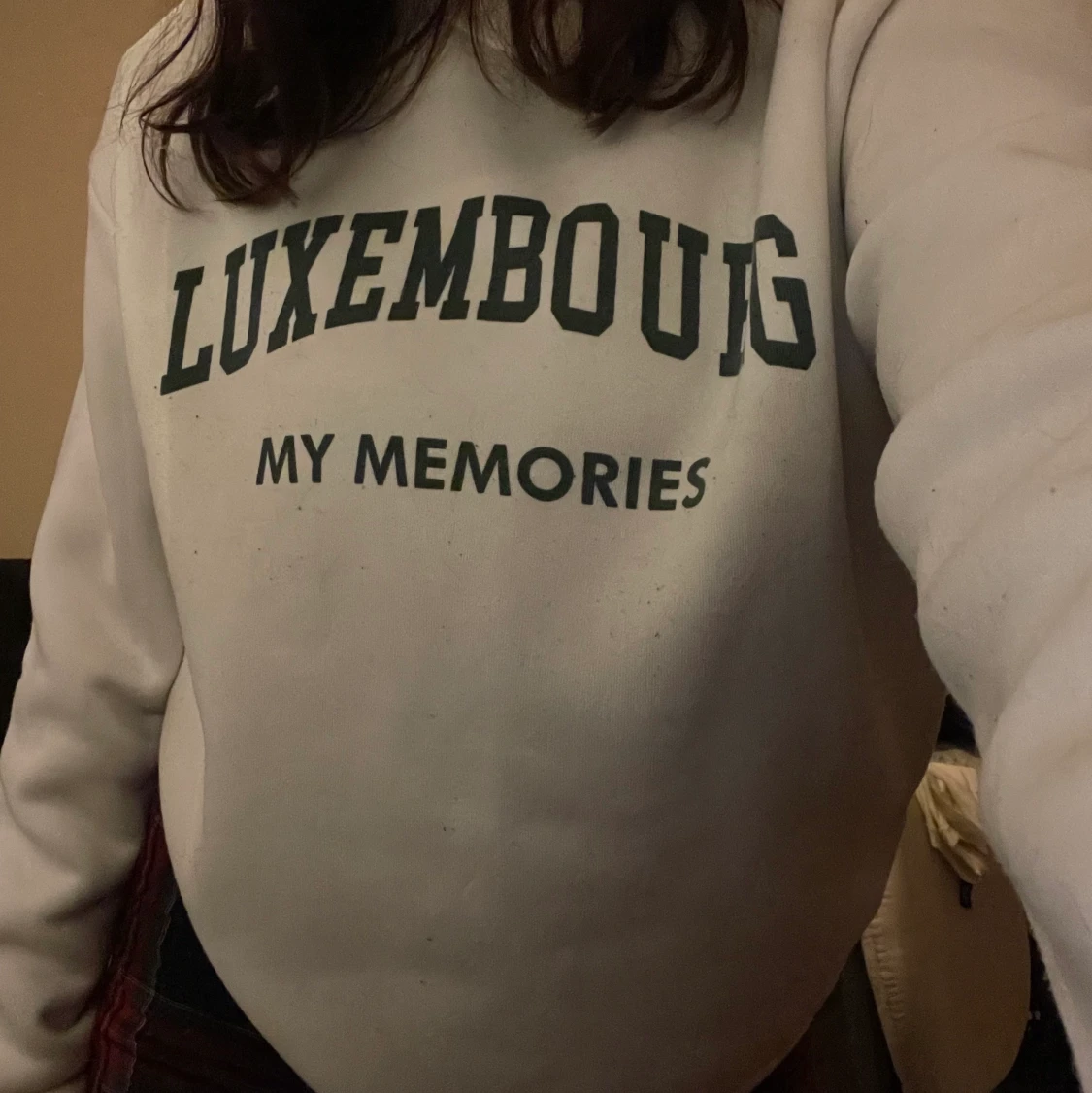 Långärmad tröja  - 91