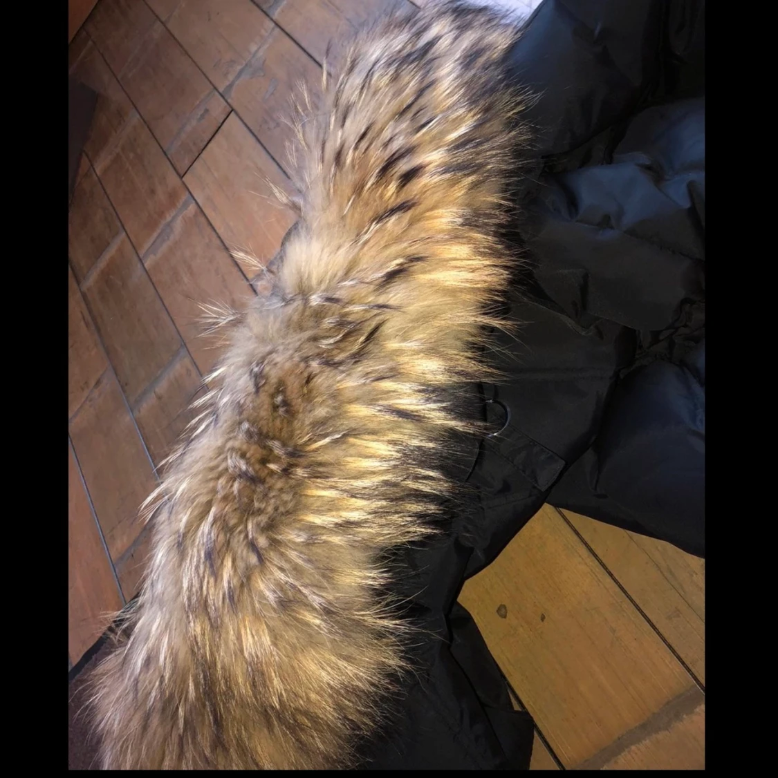 HOLLYS Lovingo Jacka - 91