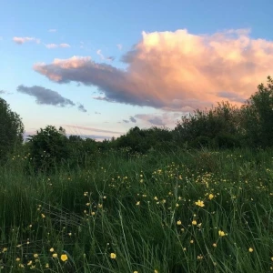 Alla mina kläder jag säljer går att diskutera pris på! - Går att diskutera priset på alla mina kläder som ligger uppe!