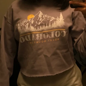 Superfin tröja från hollister  - Lika tröja i superbra skick. Köptes för 800 kr för ett år sedan men tröjan kommer tyvärr inte till användning. Väldigt mjuk i tyget.