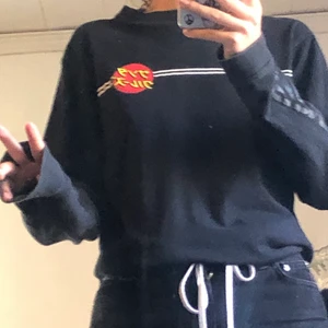 Santa Cruz storlek S  - Säljer en Santa Cruz tröja som är köpt på Carlings för nått år sedan, har inte fått så mycket användning av den så jag säljer den