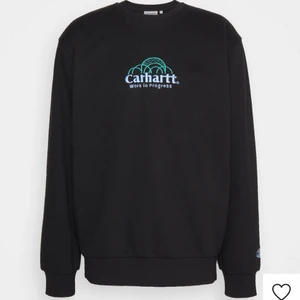 Carhartt WIP work in progress sweatshirt - Säljer en helt ny/ oanvänd tröja från Carhartt. Storleken är XS, nypris: 999kr, mitt pris: 400