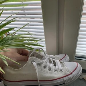 Vita låga Converse, storlek 38 - Vita låga Converse i storlek 38. Bra skick, använda endast ett fåtal gånger. 