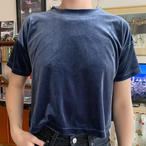 T-shirt i velour - T-shirt i velour från Weekday. Fin både till vardags och till fest! Storlek XS. 50 kr exkl. frakt. 