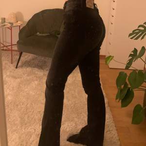 Svarta bootcut odd molly jeans, lite slitningar längst ner💕 Odd Molly storlek är 32