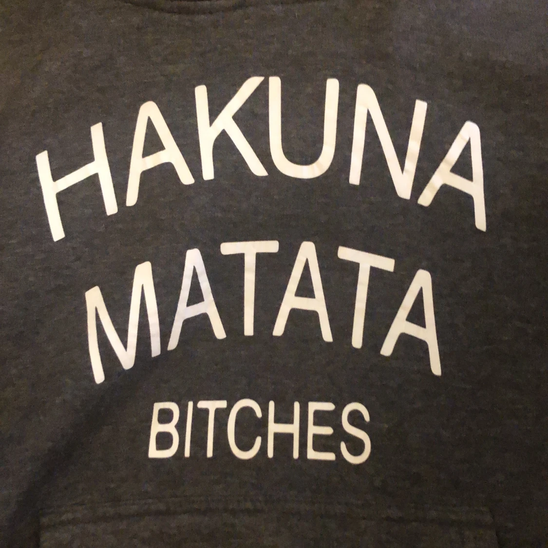 Rolig hoodie ”hakuna matata bitches”  - 91