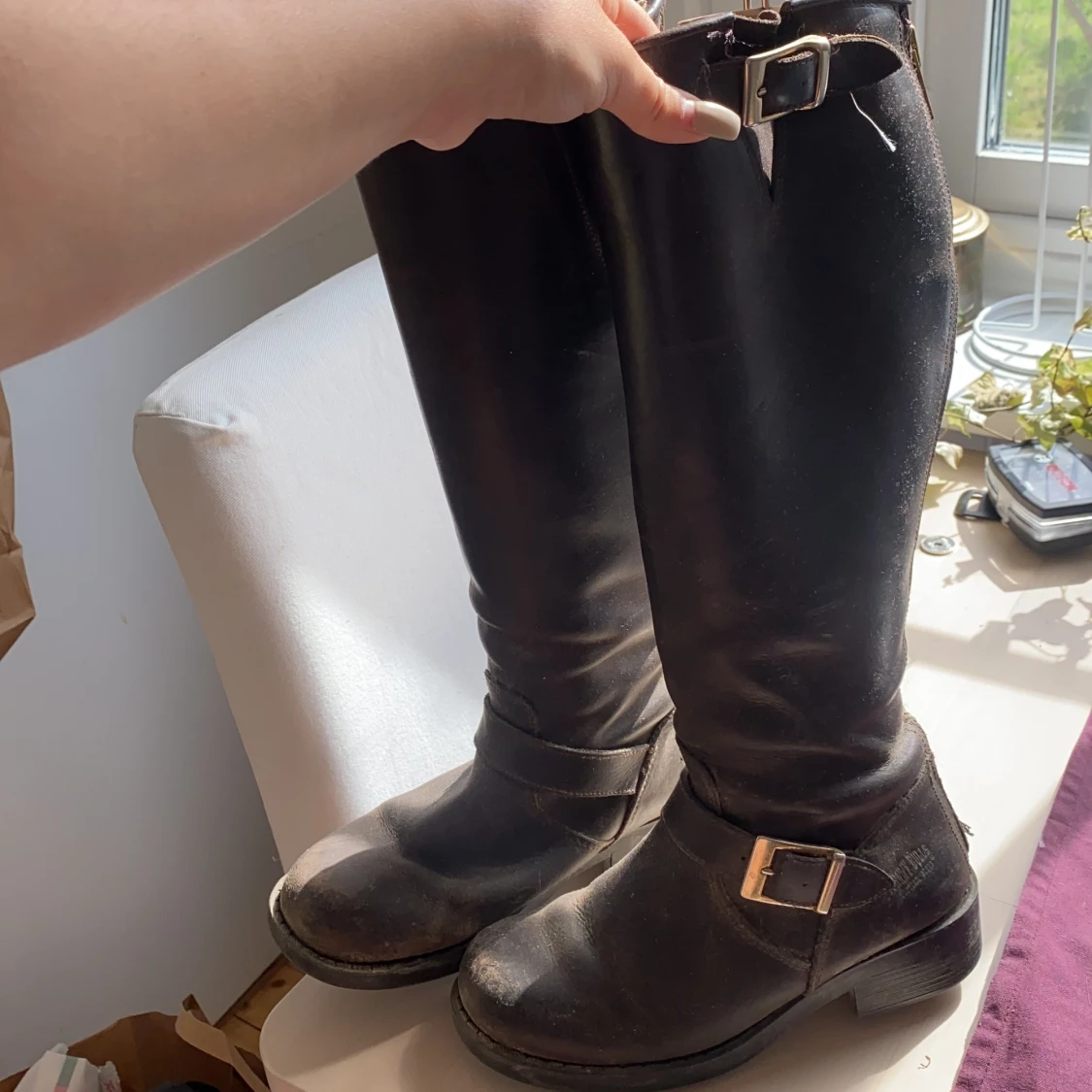 ÄKTA Johnny bulls  - 91