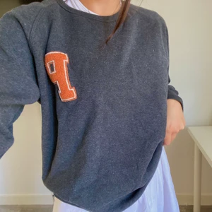 Grå sweater  - Säljer denna mörkgråa sweatern med ett oranget tryck! I storlek M🧡 kan mötas upp i Gävle eller fraktas, köparen står för frakten:)