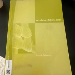 Att skapa effektiva team Susan Wheelan - Mycket bra skick
