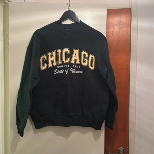 Chicago State Sweatshirt  - Mycket bra skick, använd och tvättad 1 gång. 