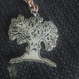 Haunted Mound Harold kedja - Säljs då jag behöver pengarna, köpt 2025 Fryshuset. Skicka prisförslag dattebayo ✍️🙏