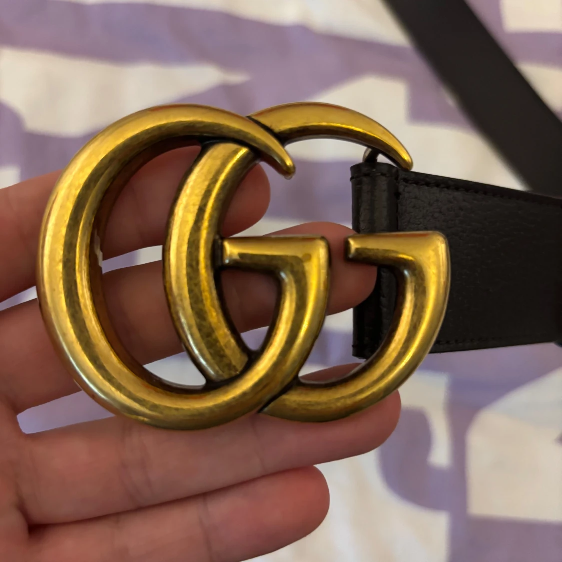 Gucci GG Marmont Brown Belt Unisex Size 40 Dollar Pigprint  - 1