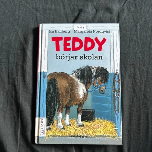 Teddy börjar skolan - En charmig bok om Elsa och hennes ponny Teddy på gården Ängalyckan. Perfekt för dig som gillar djur, hästar och lättlästa böcker med många bilder och korta kapitel. Upptäck vänskap och äventyr i stallet!