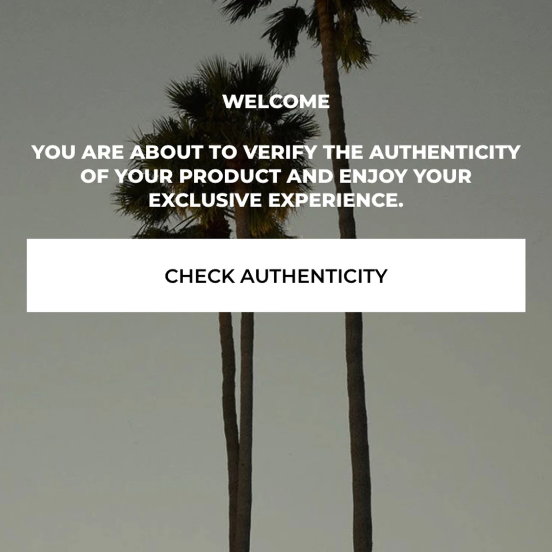 Palm Angels kofta - 4