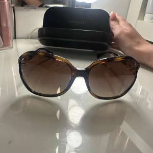 Bruna Coach solglasögon med guldiga detaljer - Snygga solglasögon från Coach i brunmelerad plast med stora, runda bågar och bruna tonade glas. Sidorna har guldiga Coach-loggor som ger en lyxig känsla. Perfekta för att lyfta din look med en touch av designerstil.