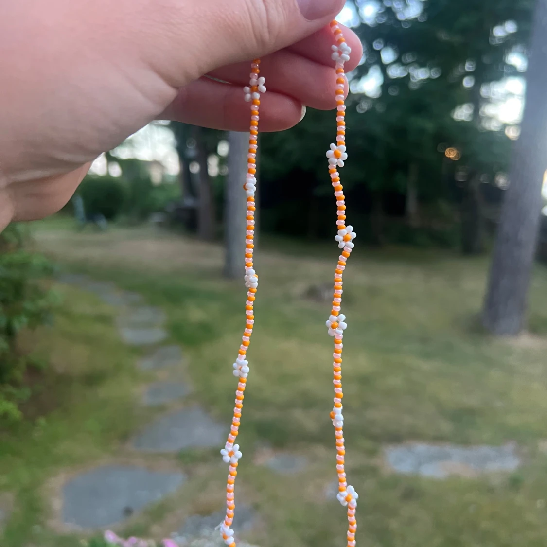 Somrigt halsband! - 1