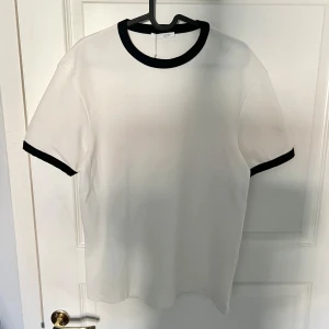 Oanvänd t-shirt från Zara - Oanvänd T-shirt från Zara. Prislapp finns kvar. 