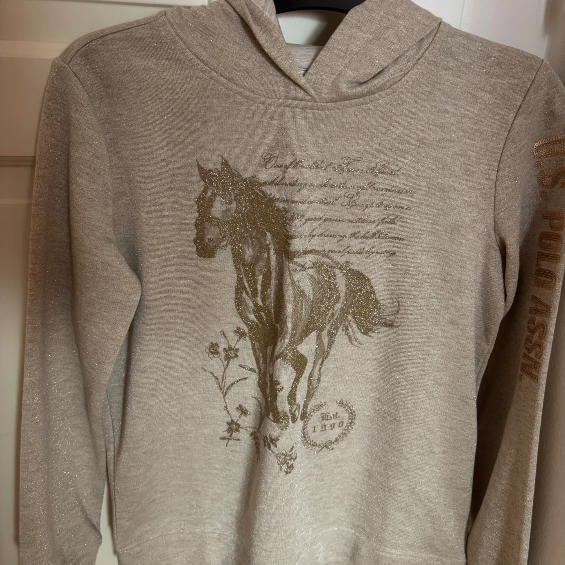 Beige hoodie från U.S. Polo Assn.