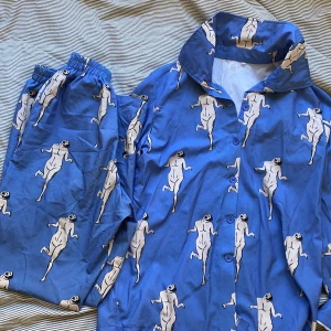 Attack on Titan pjs - Den kända attack on titan pyjamasen minus nattmössan. Köpt på japanloppis och passar en S-L. Materialet är tunt och byxorna har ett elastiskt band. 