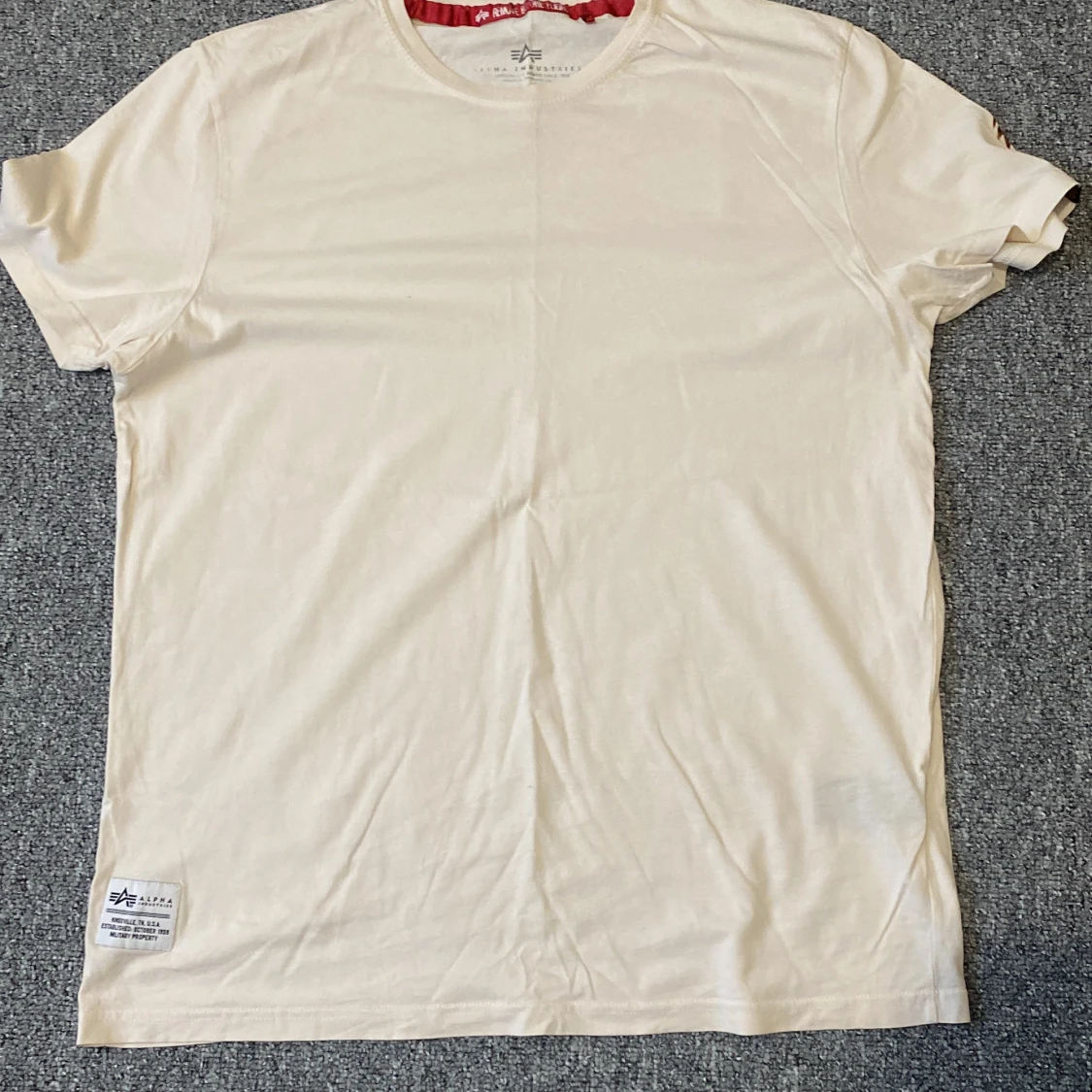 Beige Alpha Industries t-shirt med drakmotiv - 1