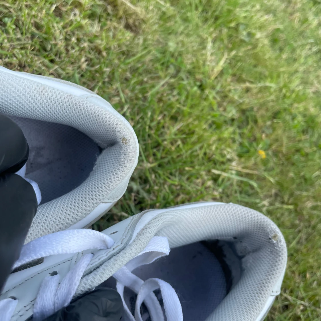 👟 Det Nike Dunk Low – Grå & Vit - 4