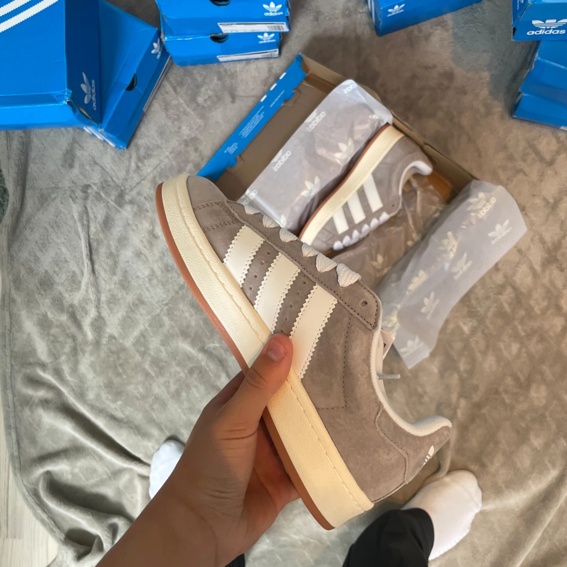 Adidas campus - 2