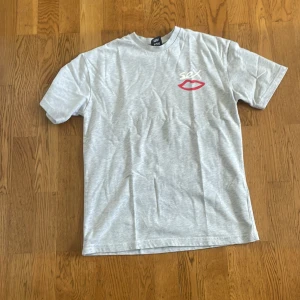 Sex Skateboards grå t-shirt XS - Grå t-shirt från Sex Skateboards med tryck av röda läppar och texten 'sex' på bröstet och ryggen. Klassisk passform, rund hals och korta ärmar. Skön och mjuk i bomull, perfekt för en chill streetstyle-look.