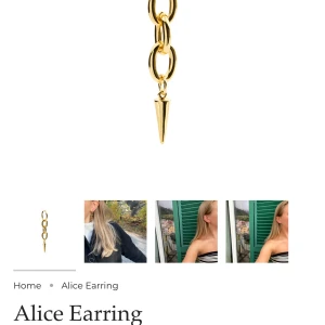 Guldiga Alice örhängen från Alvaz essentials - Snygga guldiga örhängen köpt för 350kr på alvaz essentials hemsida, endast använt ett fåtal gånger och rostar inte eller blir grönt!💕 har inte kvar förpackningen💕 Helt slutsålt
