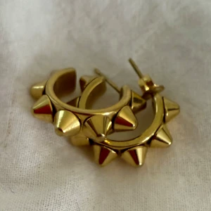 Guldiga örhängen med nitar - Edblad örhängen 