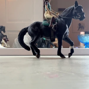 Häst och ryttare där det ingår utrustning till hästen❤️ - Den här boken har ett omslag med en svart häst och en ryttare i ridkläder. Perfekt för dig som älskar hästar och ridning! Omslaget ger en känsla av äventyr och gemenskap mellan häst och ryttare.