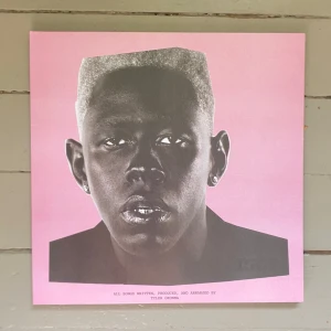 Tyler, The Creator - Igor Vinyl. - Igor av Tyler, The Creator på svart Vinylskiva. Affischen som först följer med ingår inte, spelad cirka 10 gånger och i väldigt bra kvalité, både själva skivan och omslaget. Rekommenderar att kolla in profilen för fler liknande!