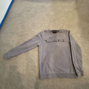 Grå tröja från Bondelid - Säljer en stilren grå tröja från Bondelid med långärmad design. Tröjan har ett tryck med Bondelid-loggan på framsidan och är perfekt för en avslappnad look.