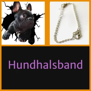 By prisförslag- hund/katt halsband storlek Small - Storlek Small