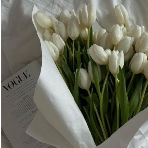 Arkivfoto  - Går ej att köpa