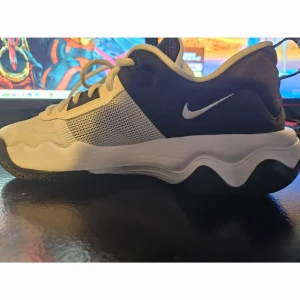 Giannis immortality 4 black and white  - Säljer ett par basketskor som är i bra skick fungerar perfekt för basket. Jag säljer basketskorna för att dom hat blivit för små, jag har boxen till skorna i fall ni undrar.