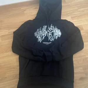 ANT WAN HOODIE - Säljer ANT WAN hoodie orginalpris:800kr.       Framsida:wanderland written by ANT wan.  Baksida:albumet och låtarna