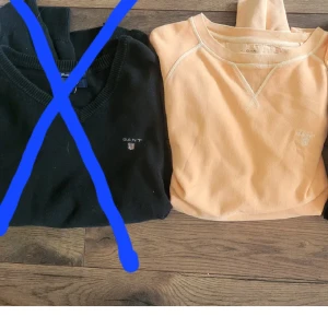 Persikofärgad sweatshirt från Gant - Säljer en persikofärgad sweatshirt från Gant med rund halsringning och diskret logga broderad på bröstet. Tröjan har långa ärmar och är perfekt för en avslappnad stil. Klassisk och stilren design.