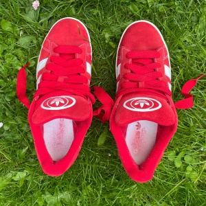 Röda Adidas Campus sneakers - Säljer ett par röda Adidas Campus sneakers med vita ränder och Adidas-logga på plösen. Skorna har snörning och är gjorda i mocka med vit sula. Klassisk och stilren modell som sticker ut med sin färg. Perfekta sommarskor! Om ni är intresserade så skickar jag fler bilder på skorna om ni inte fick med alla vinklar av skor som ni vill se ! 