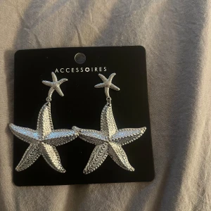 Silverfärgade sjöstjärneörhängen - Stora, statement örhängen i form av sjöstjärnor från Accessoires. De är silverfärgade med en glittrig yta och har en cool, havsinspirerad design som verkligen sticker ut. Perfekta för att ge din look en unik touch.