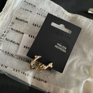 Guldpläterade örhängen från Pilgrim - Säljer dessa jättesöta örhängen pilgrim, helt nya aldrig använda❤️