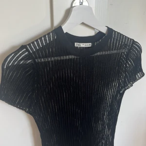 Svart transparent randig topp från Zara - Säljer en svart, transparent topp från Zara med vertikala ränder och korta ärmar. Den har ett litet hål men ingen man tänker på. Den är i storlek s men skulle säga att den är lite större i storleken. Bara att be om bilder eller frågor. Pris går att diskutera.
