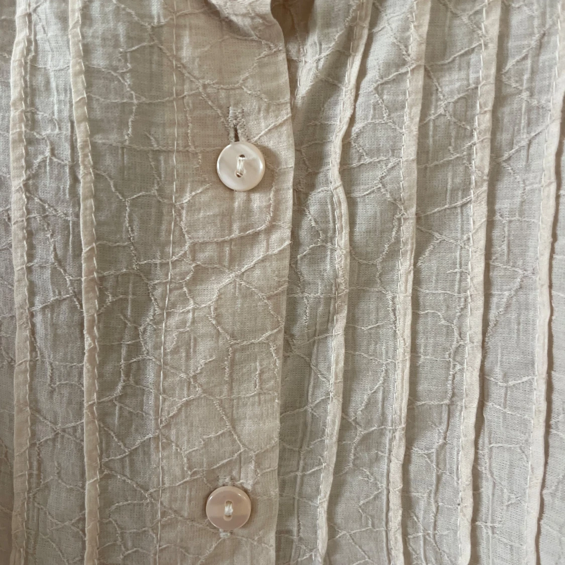 Volangblus mango - 3