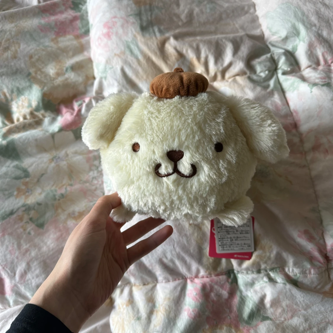 pompompurin plushie
