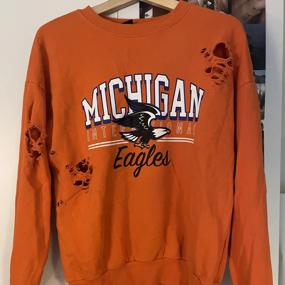 Snygg sweatshirt med cool distressed look som tyvärr inte används längre. Den sitter bra och det är bara komma PM för fler bilder priset är diskuterbart och använd gärna köp nu!🤞. Tröjor & Koftor.